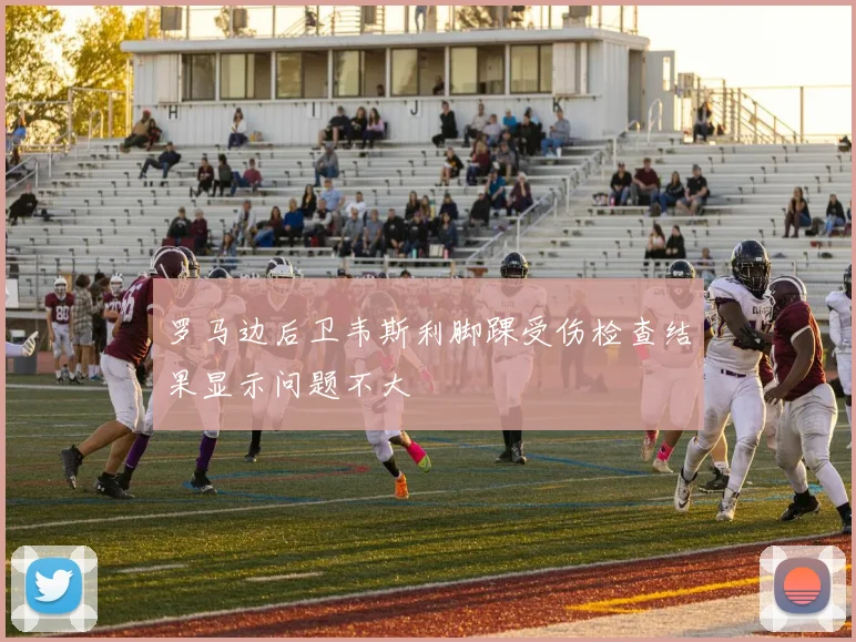 罗马边后卫韦斯利脚踝受伤检查结果显示问题不大