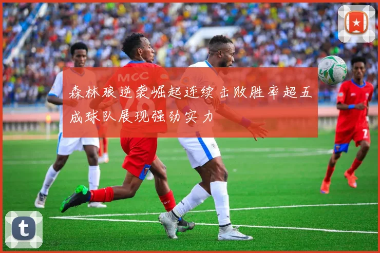 森林狼逆袭崛起连续击败胜率超五成球队展现强劲实力