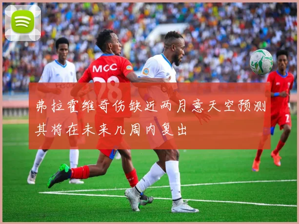 弗拉霍维奇伤缺近两月意天空预测其将在未来几周内复出