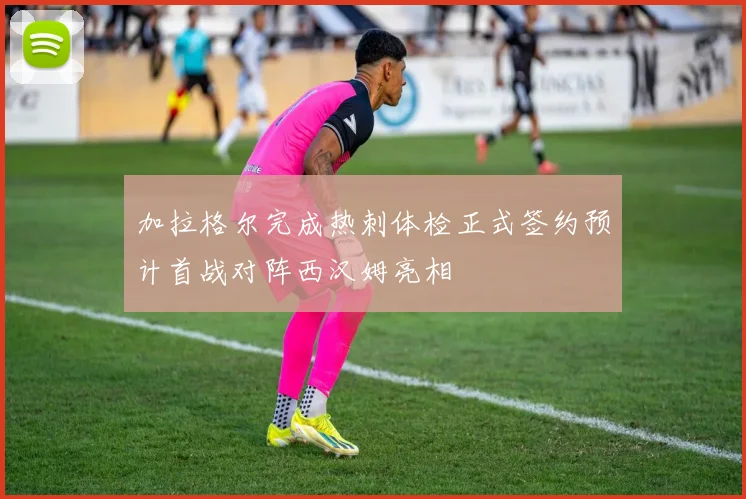 加拉格尔完成热刺体检正式签约预计首战对阵西汉姆亮相
